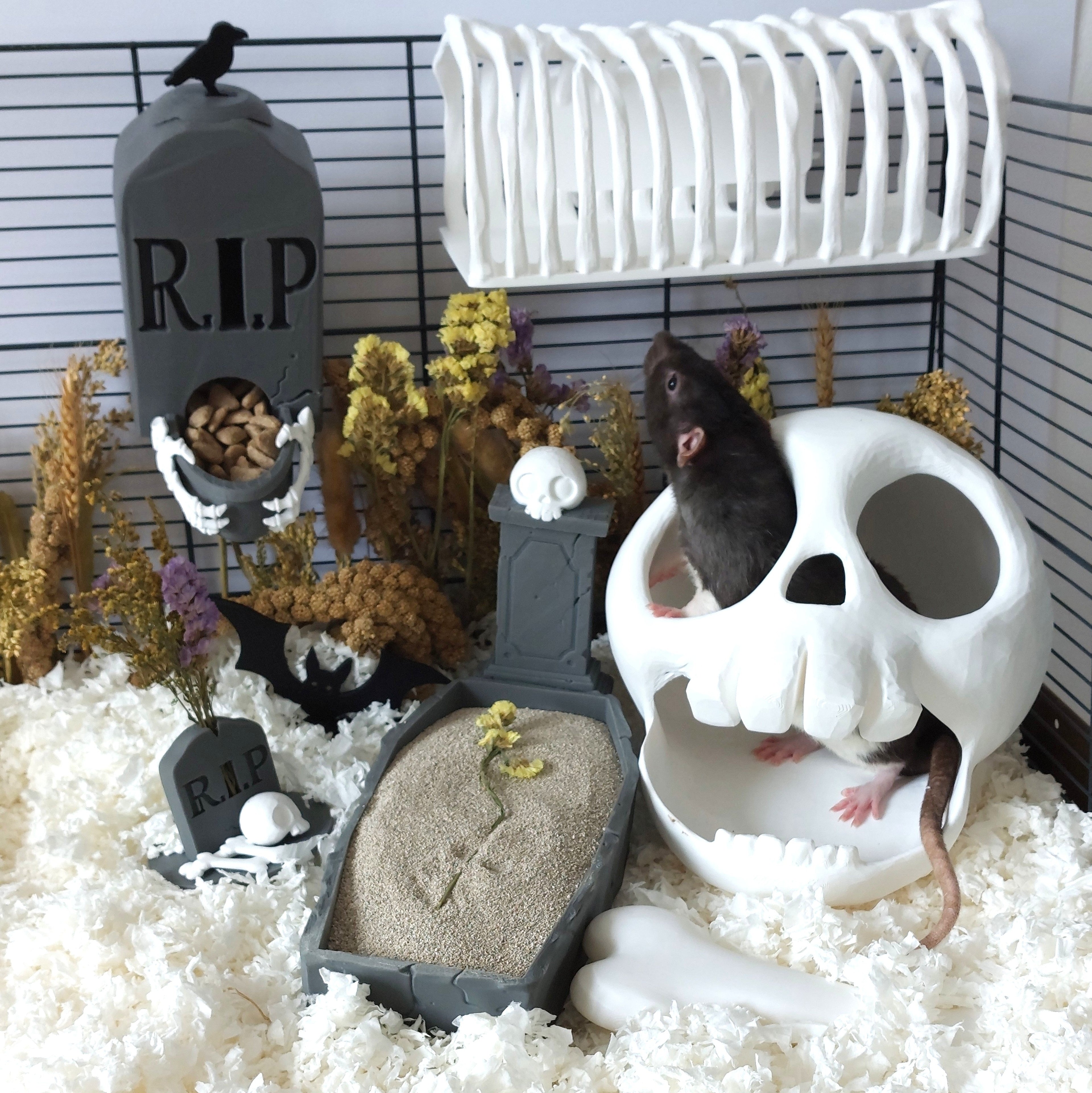 The Graveyard