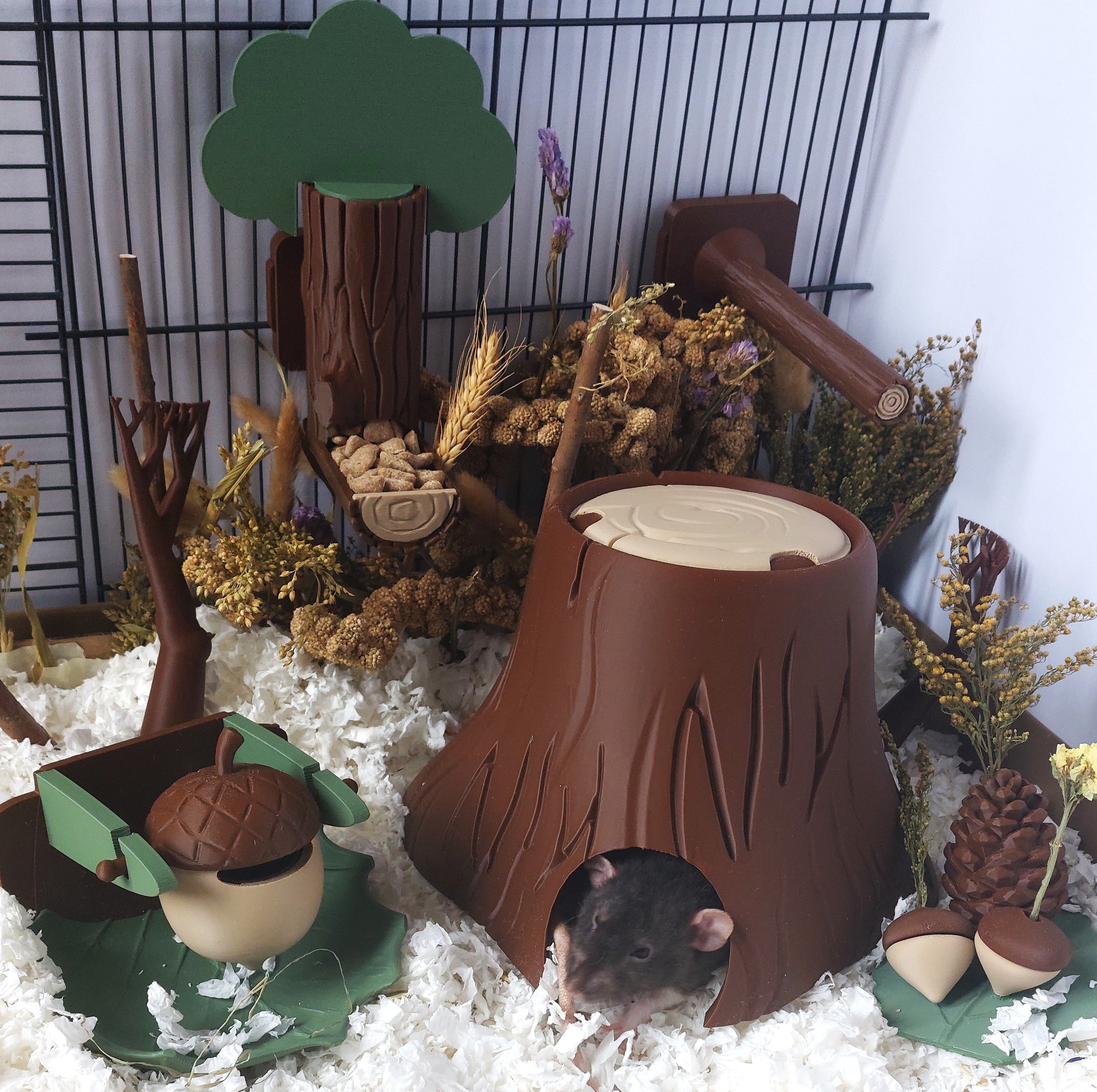 The Treetop