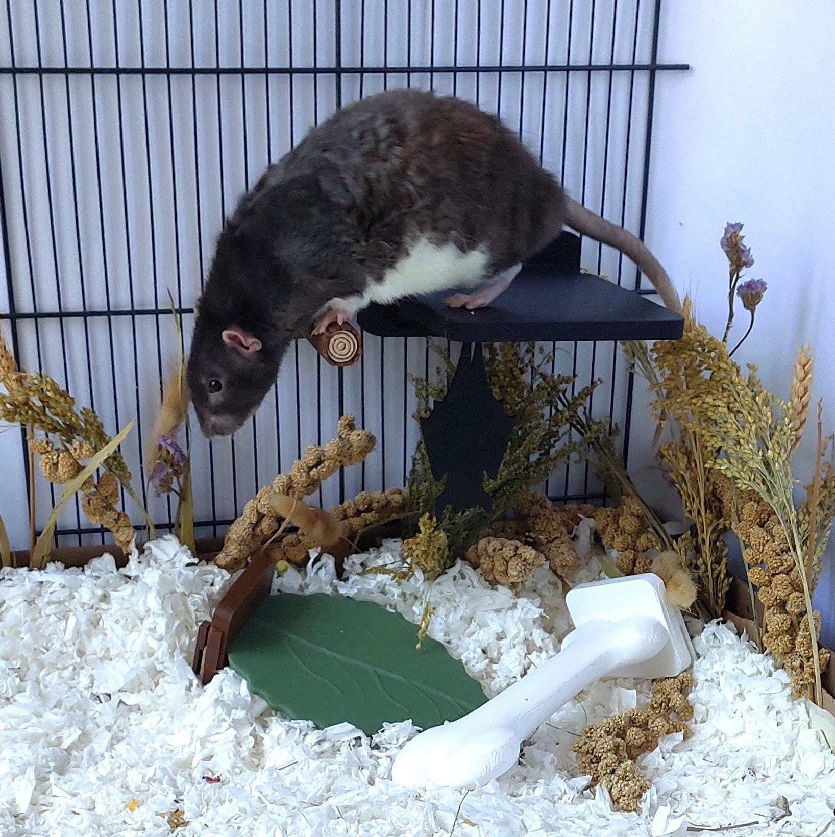 Mounted platforms & perches