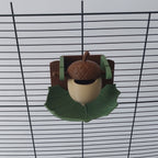 Acorn foraging toy