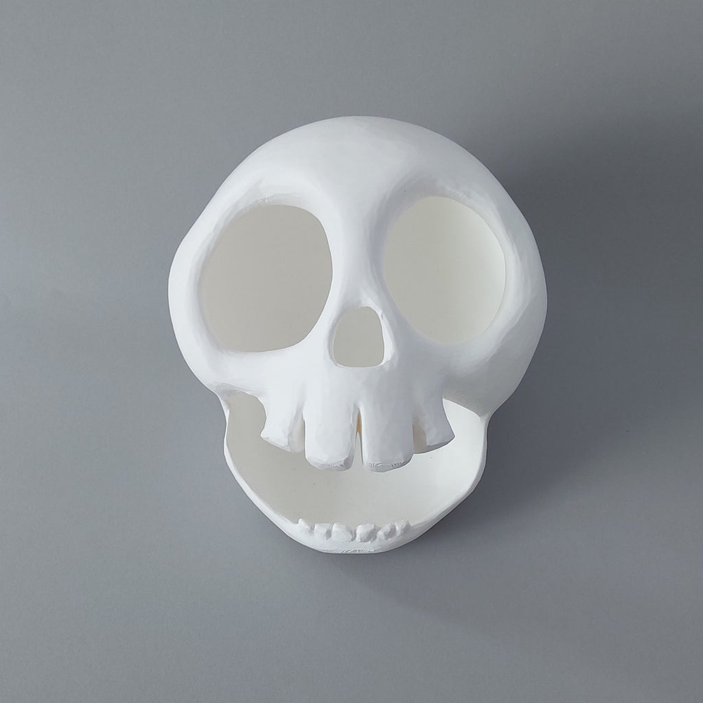 Small animal skull hide
