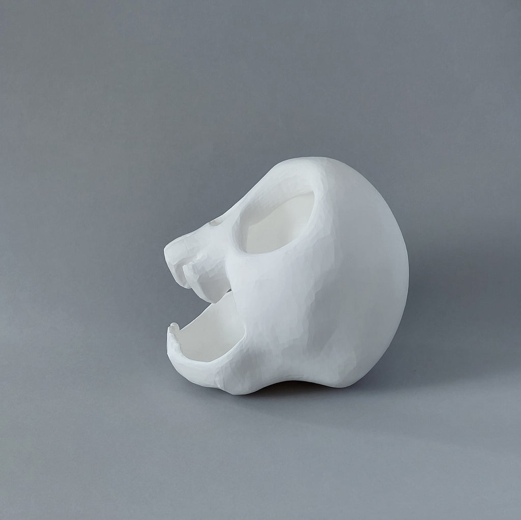 Small animal skull hide