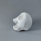 Small animal skull hide