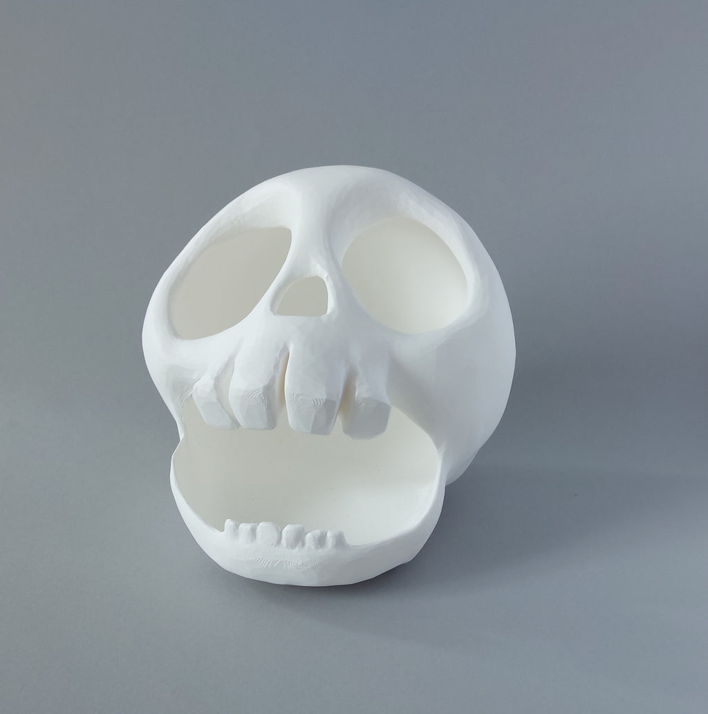 Small animal skull hide