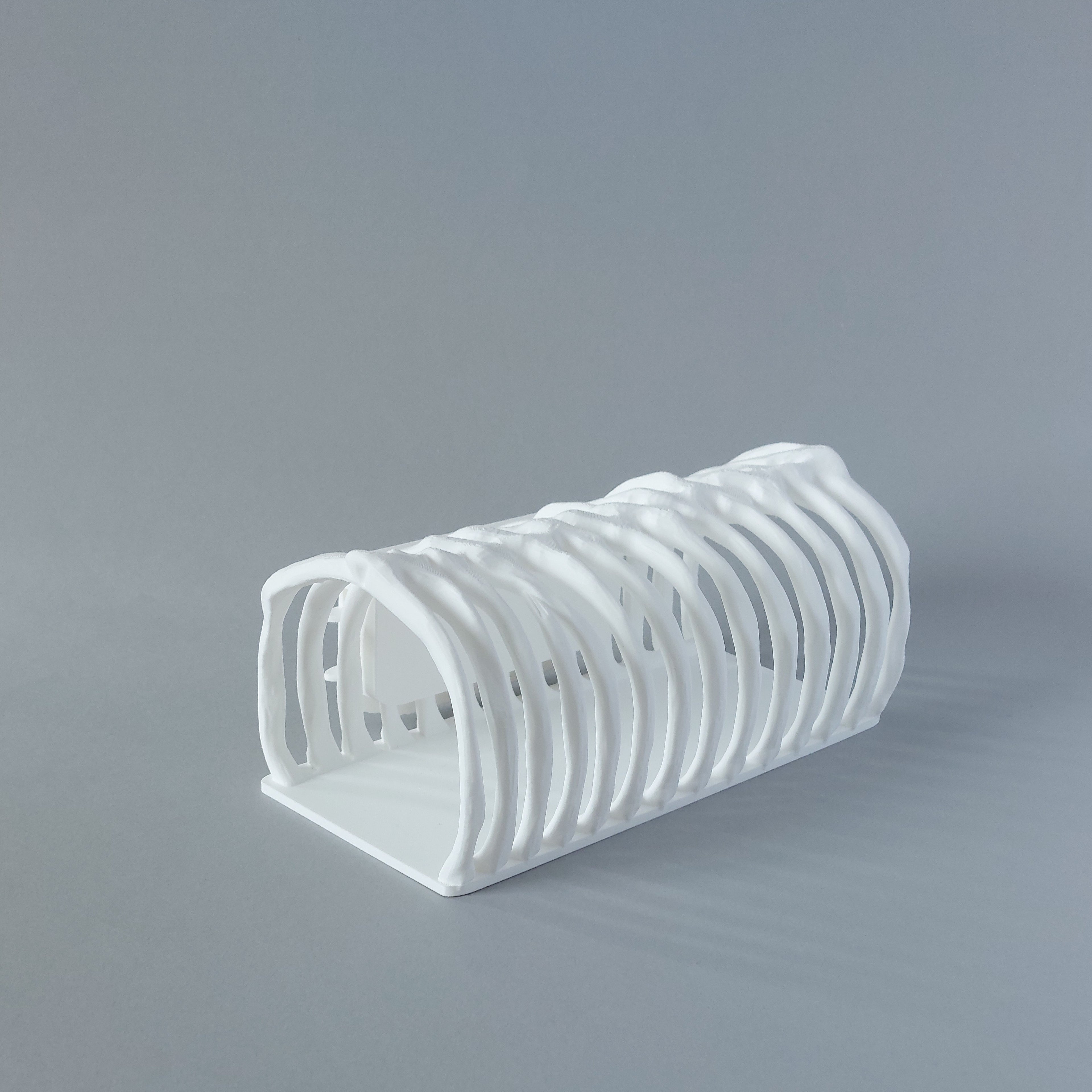 Ribcage mounted tunnel