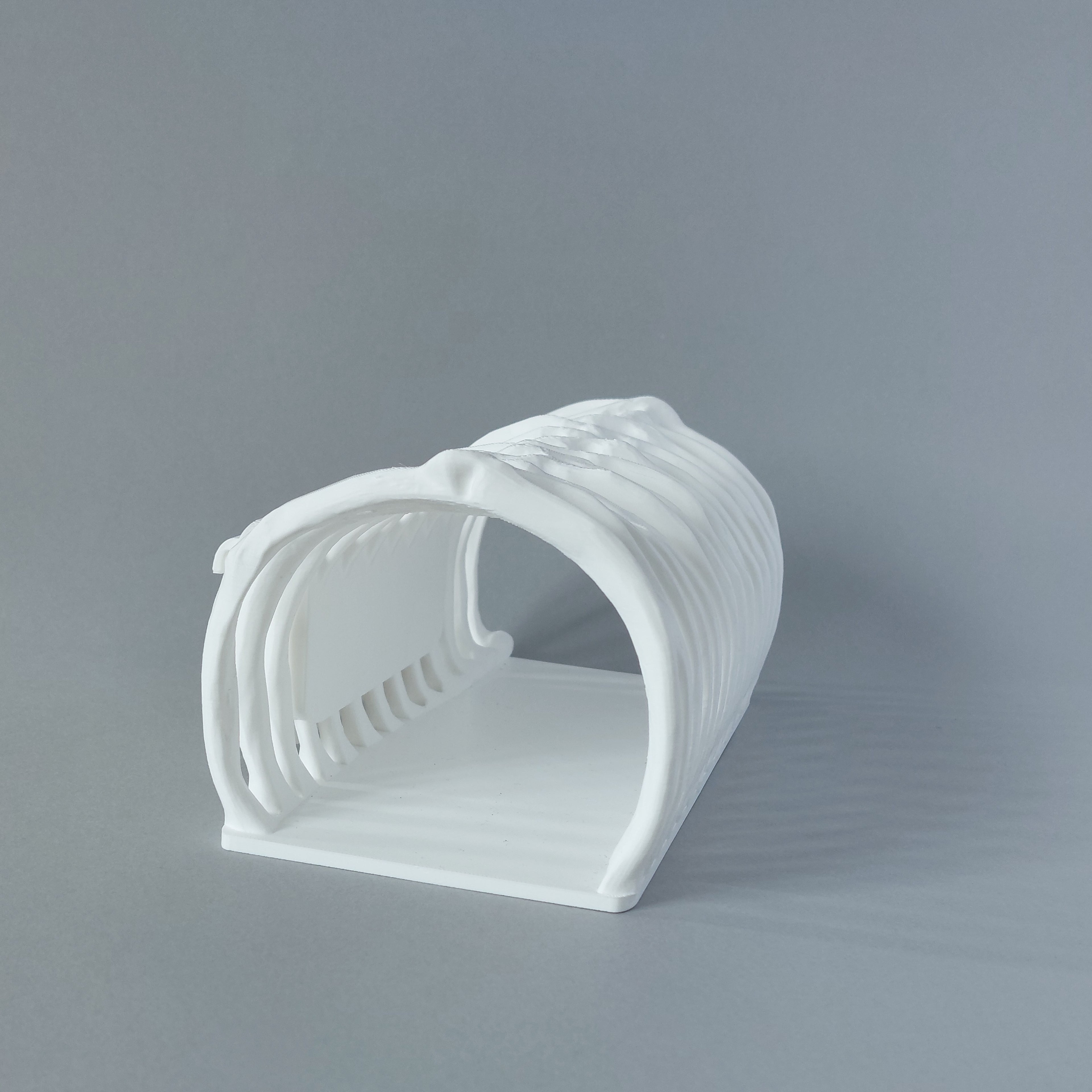 Ribcage tunnel