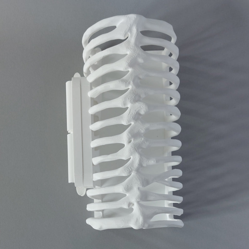 Ribcage mounted tunnel