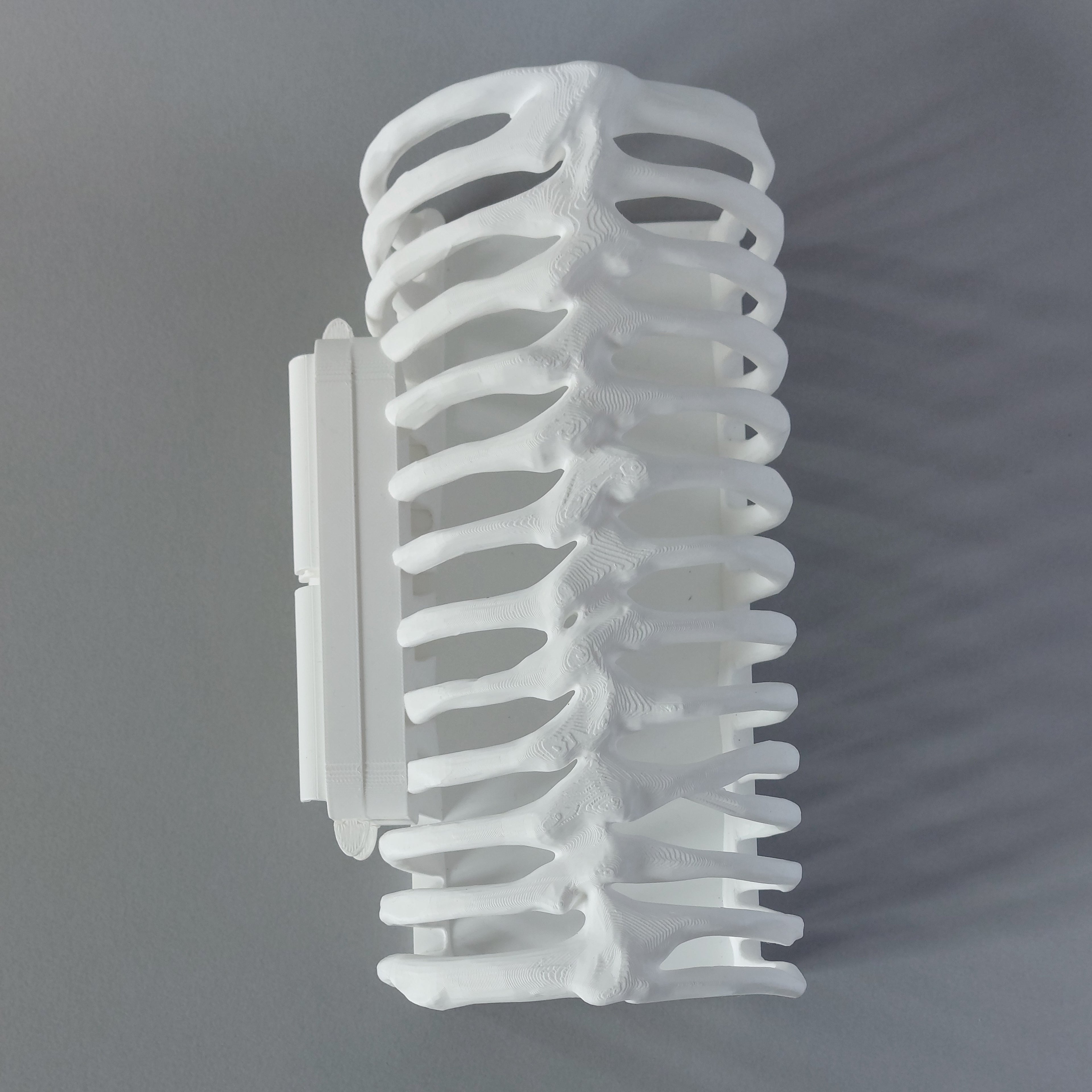 Ribcage mounted tunnel