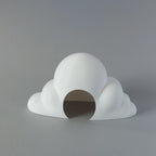 Rat cloud hide