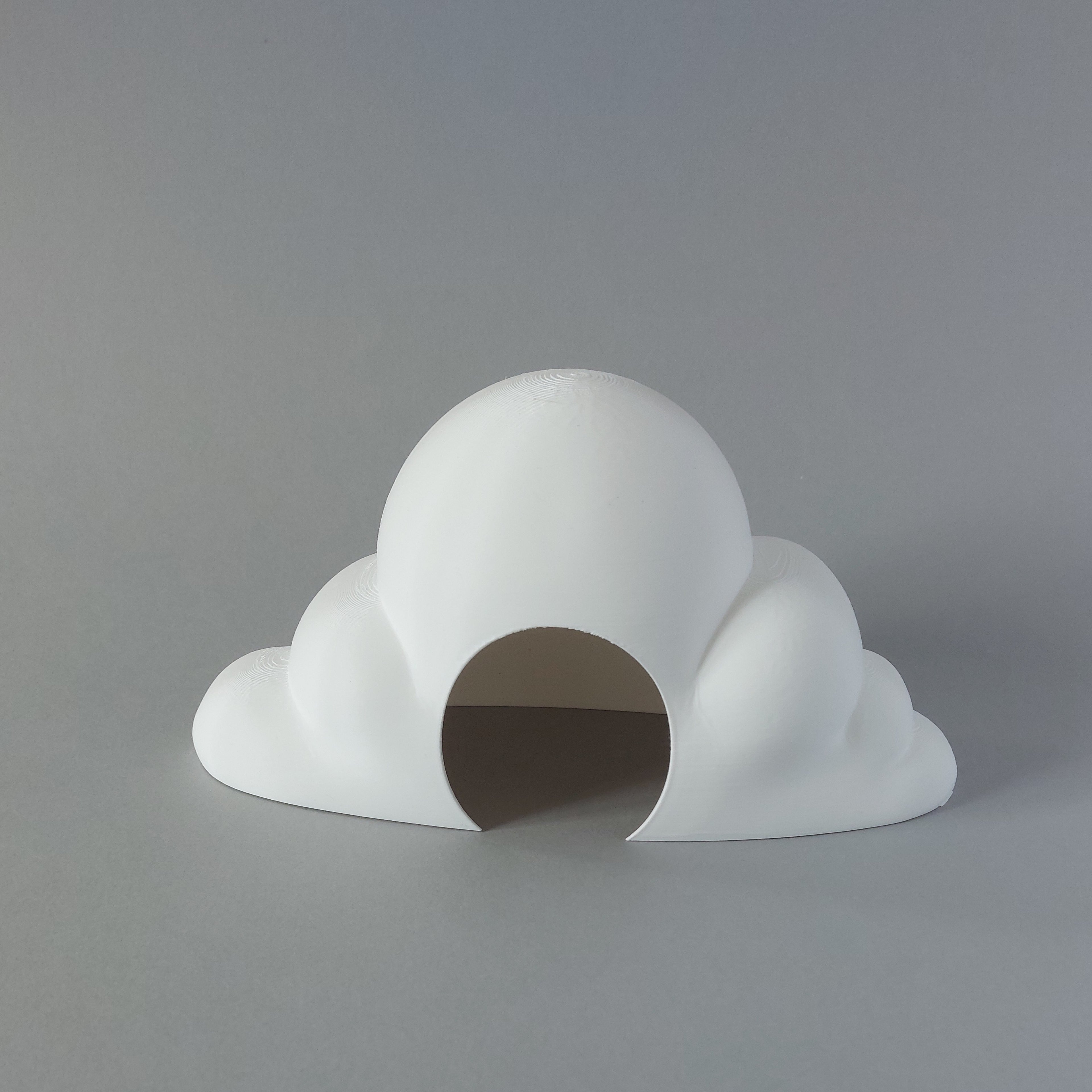 Hamster cloud hide