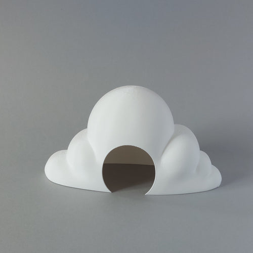 Hamster cloud hide