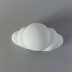 Rat cloud hide