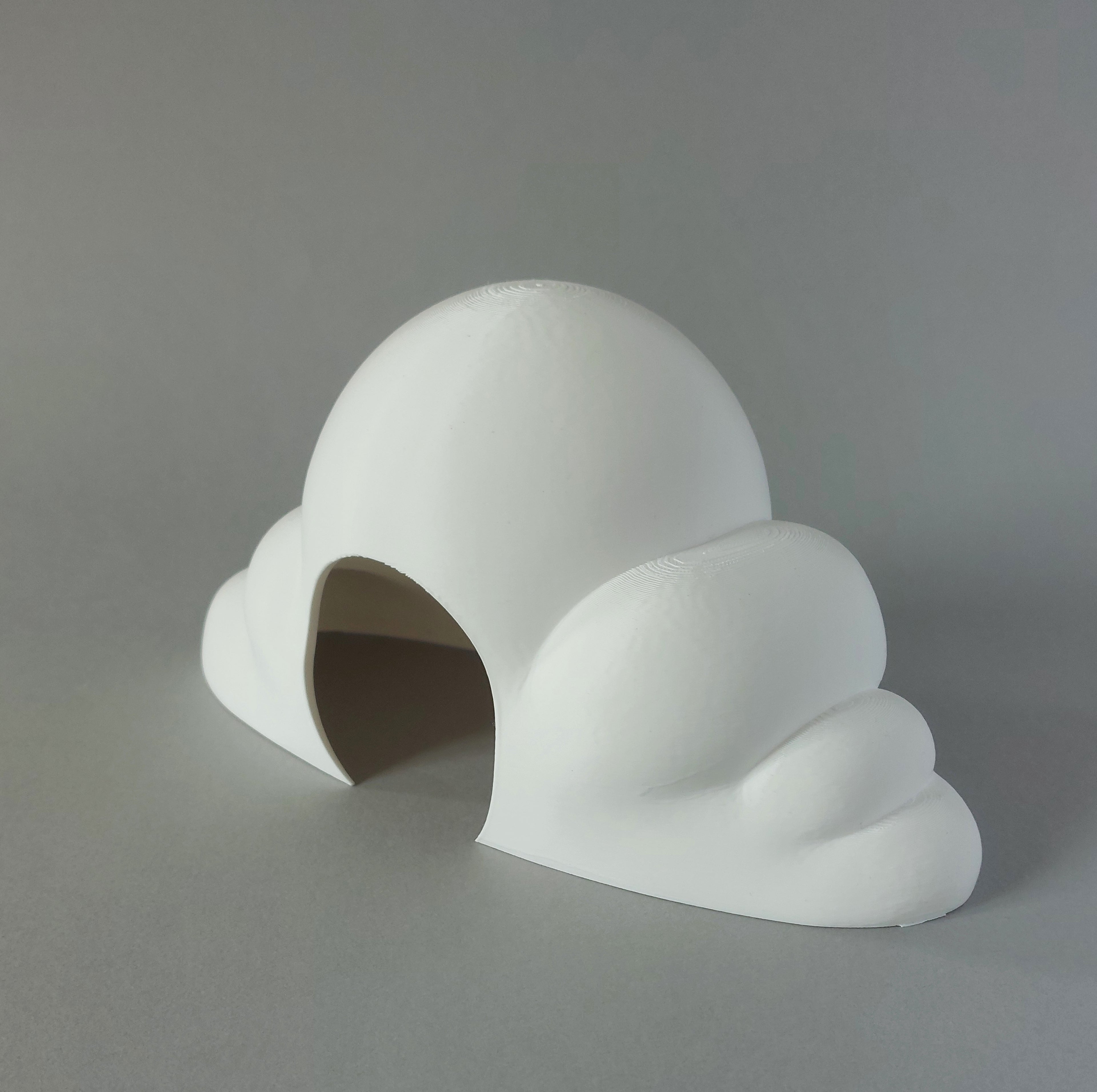 Hamster cloud hide