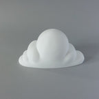 Hamster cloud hide