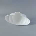 Rat cloud hide
