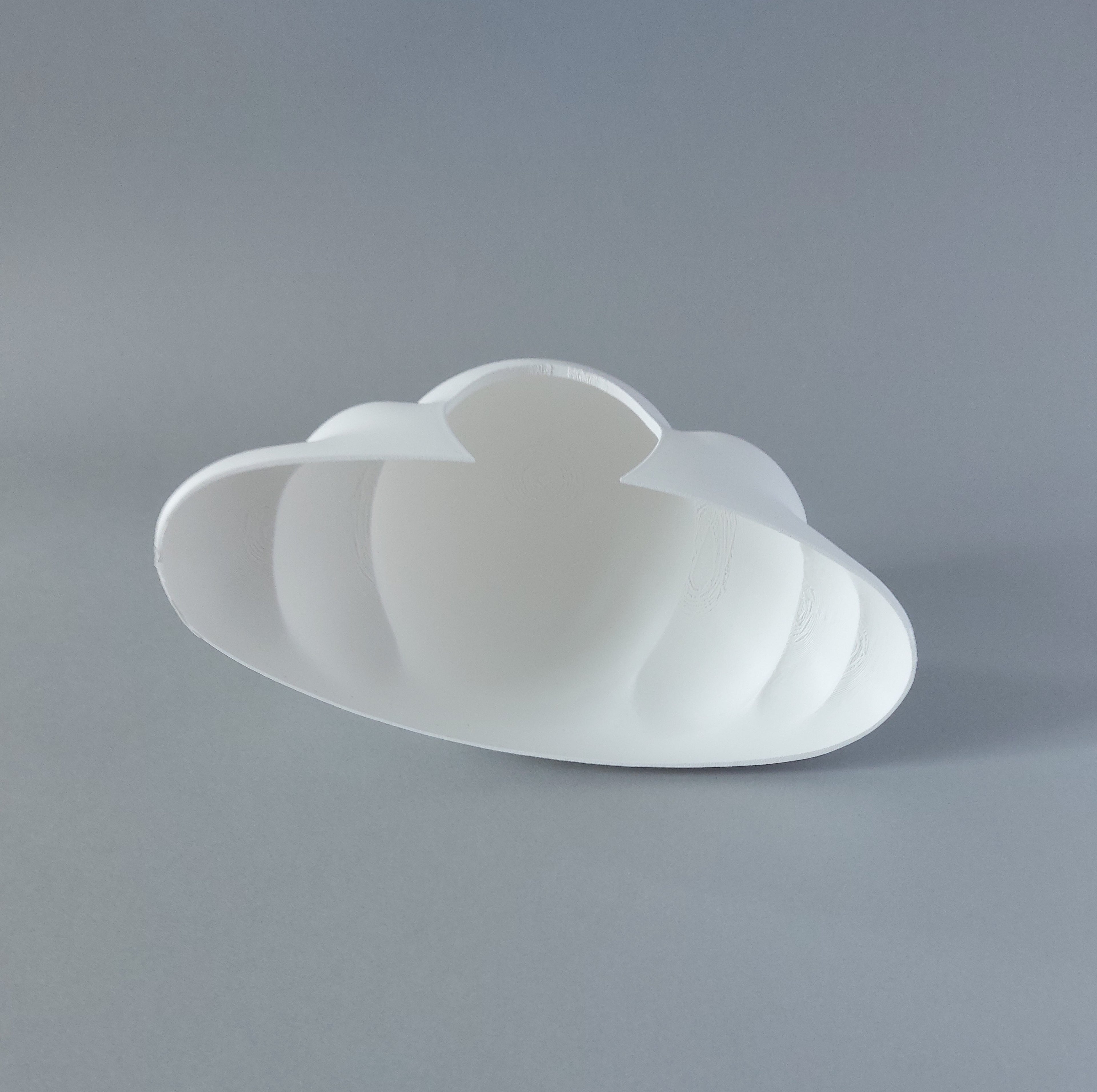 Rat cloud hide