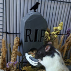 Rat gravestone feeder