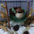 Acorn foraging toy