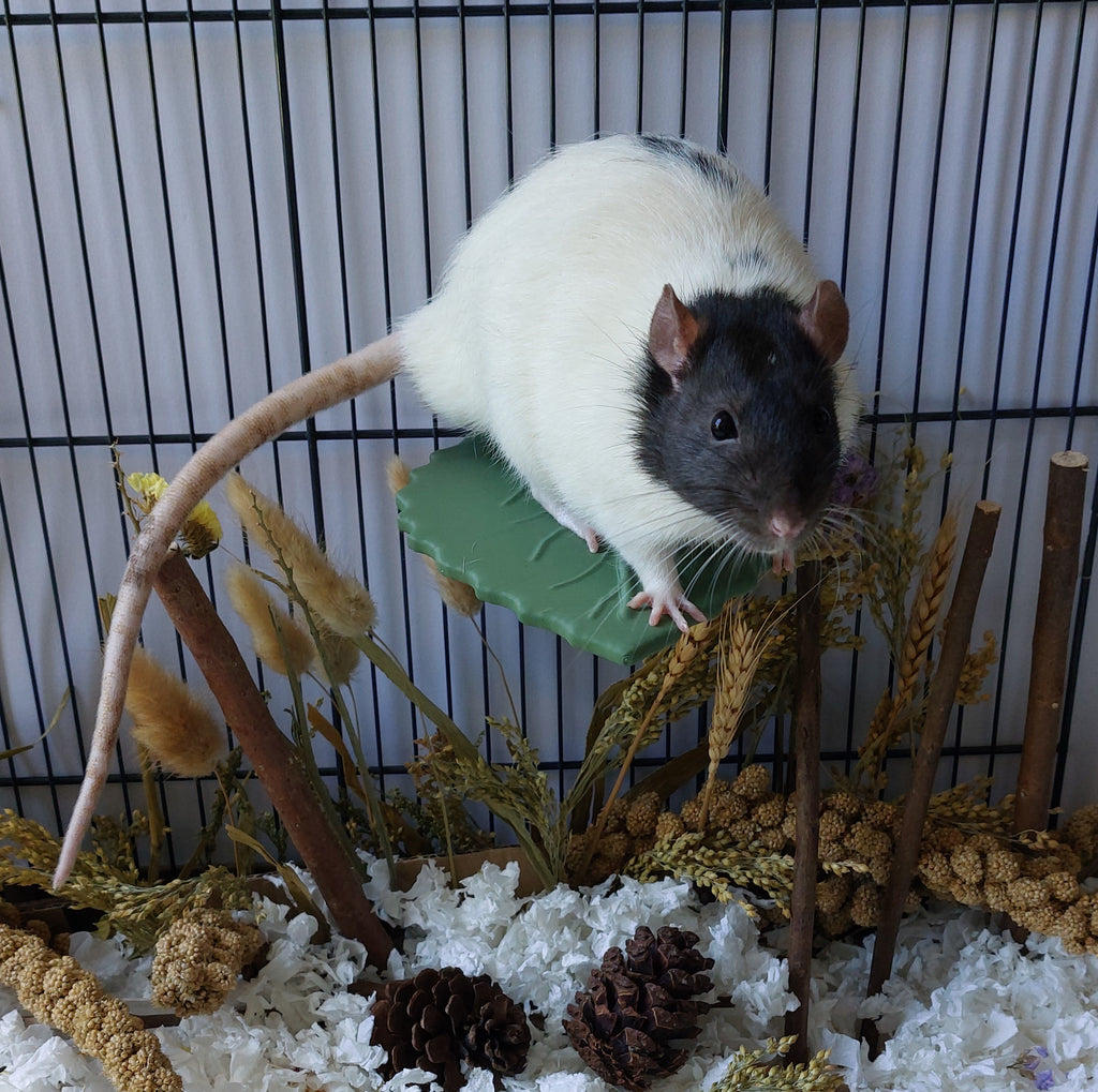 Leaf mounted platform