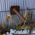 Tree branch mounted perch