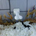Bone perch