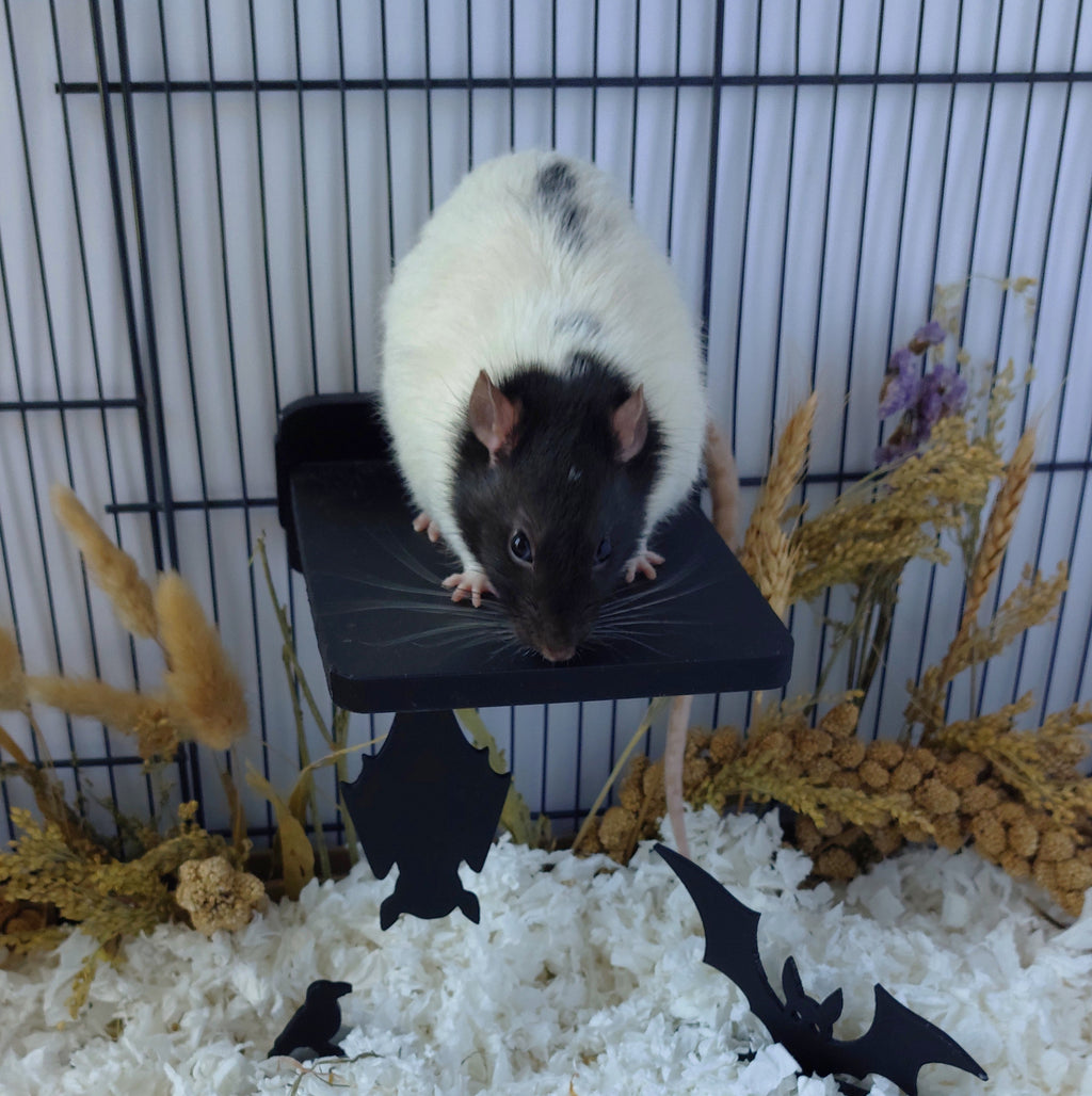 Sleeping bat mounted platform