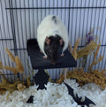 Sleeping bat mounted platform