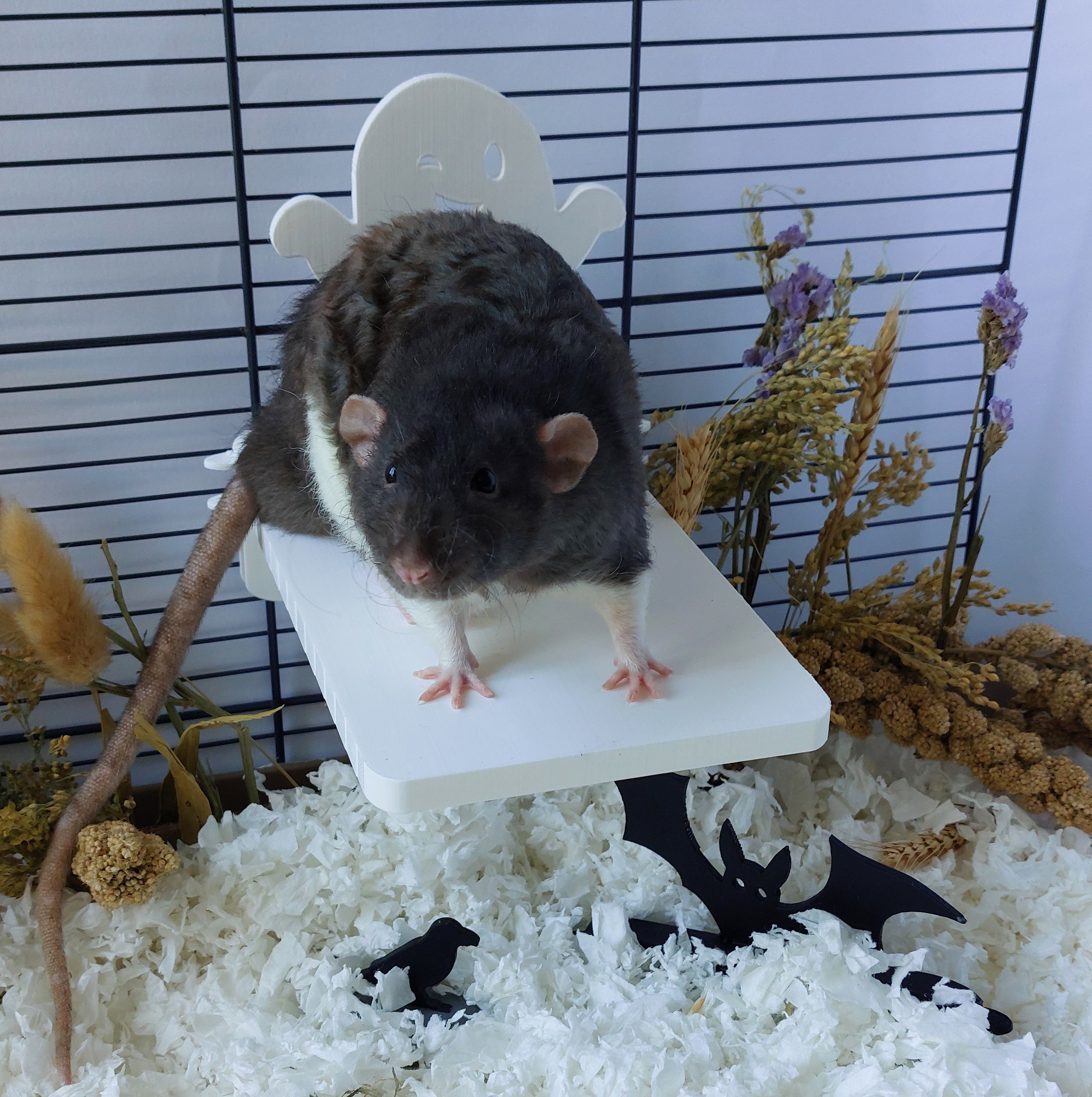 Ghost mounted platform