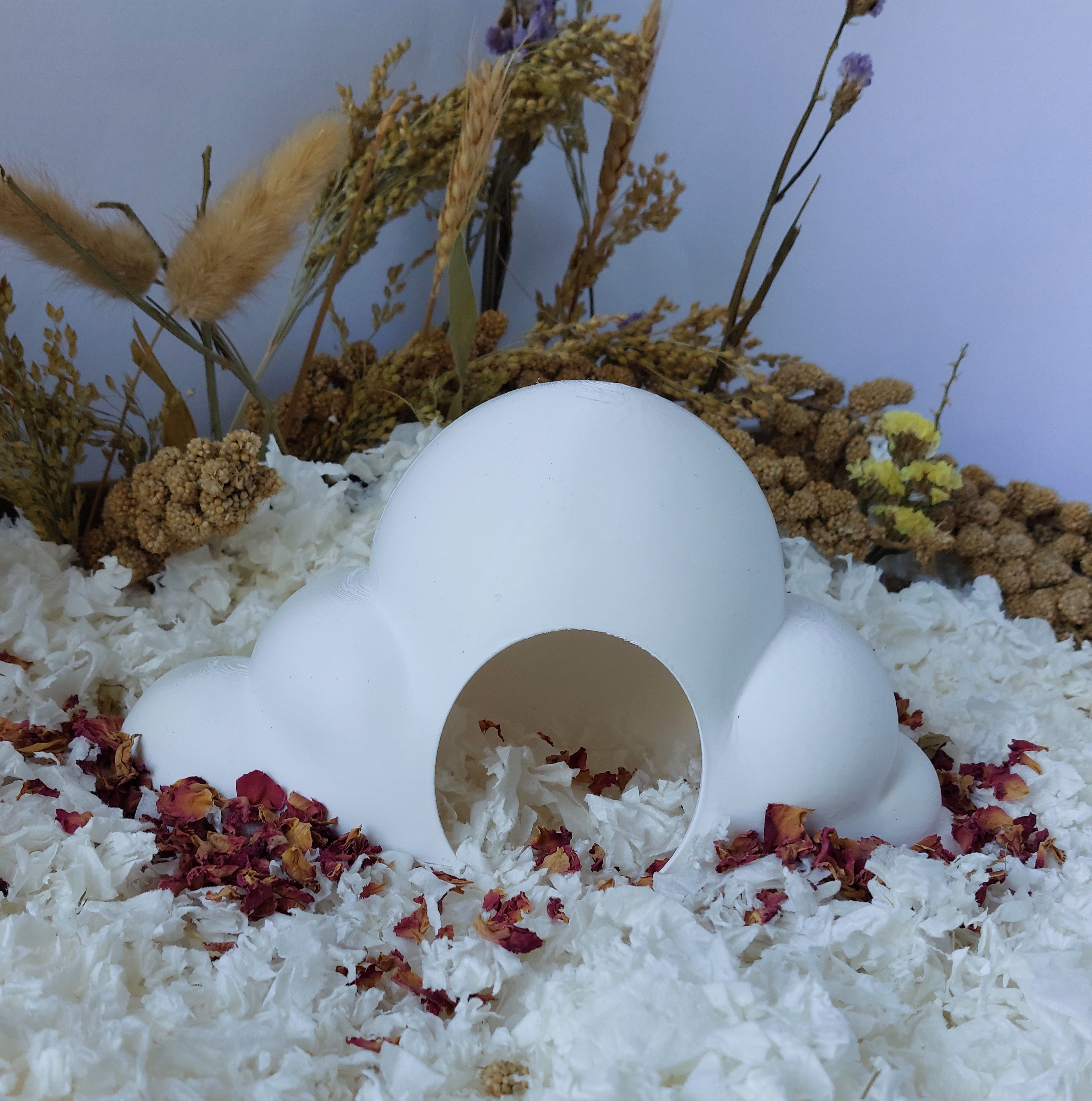 Rat cloud hide