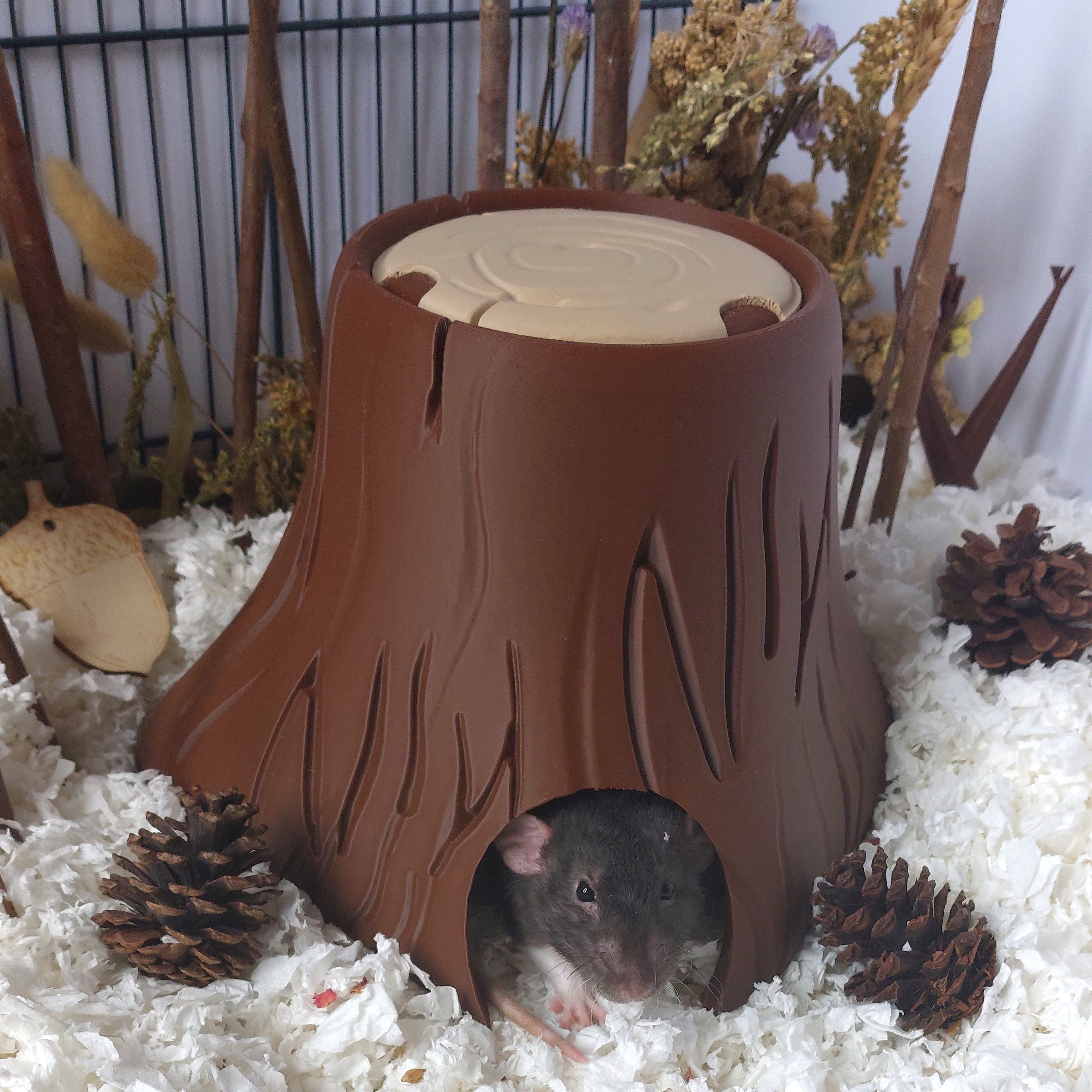 Small animal tree stump hide