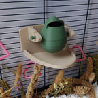 Rat rotating foraging toy
