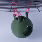 Rat hanging hide