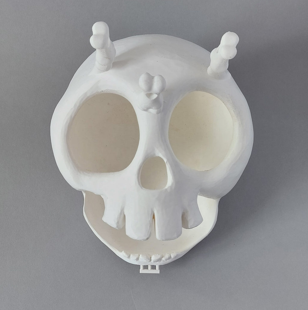 Skull hanging hide