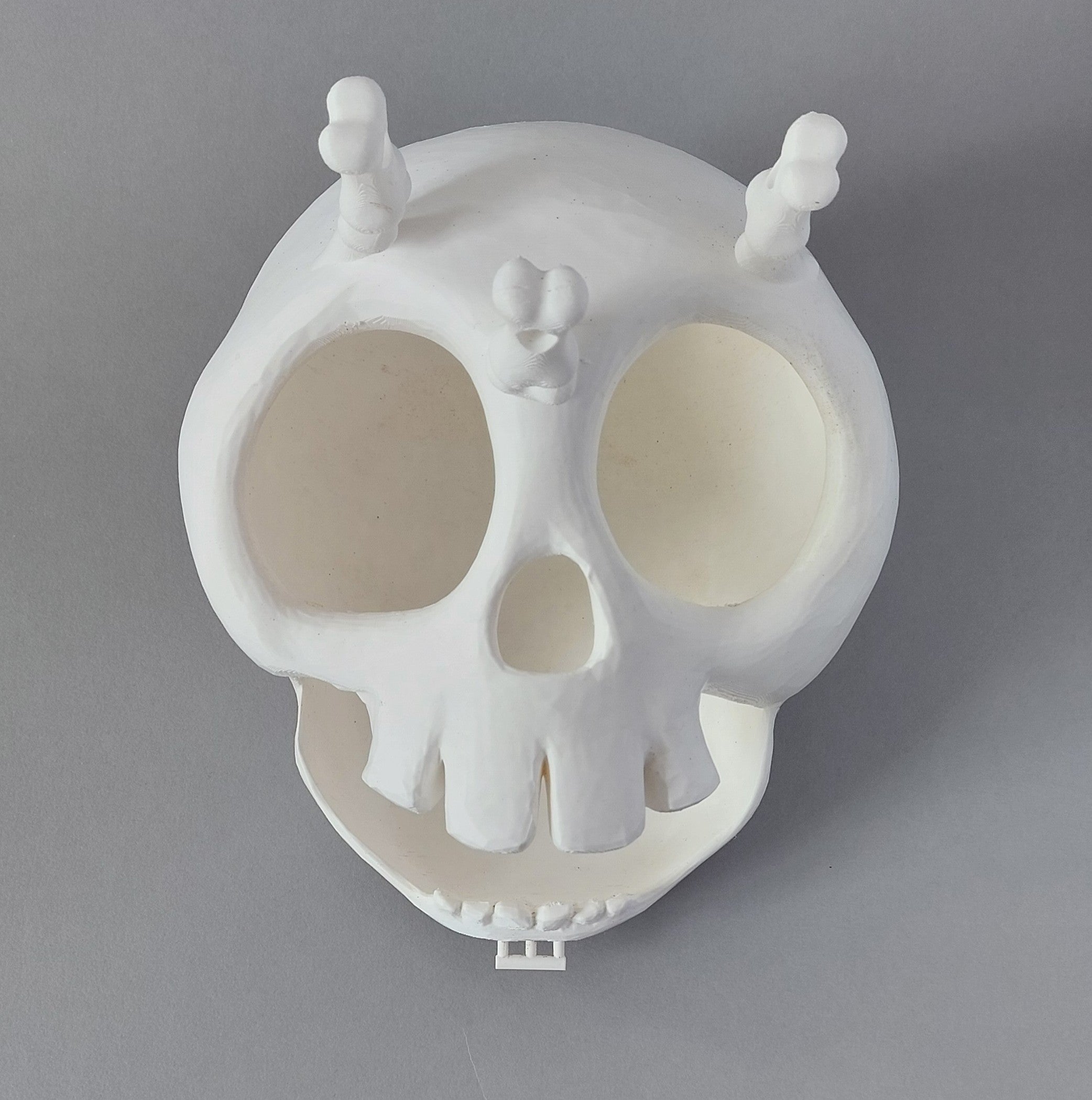 Skull hanging hide