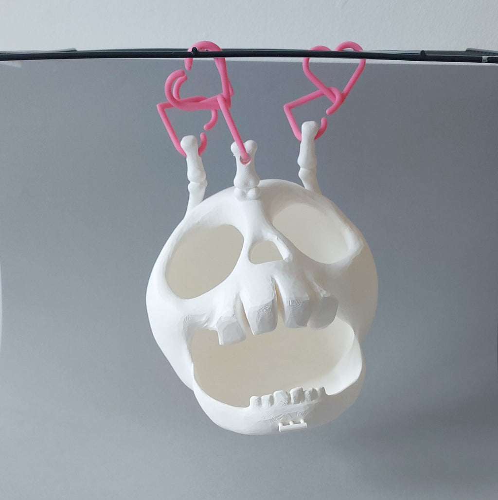 Skull hanging hide