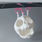 Skull hanging hide