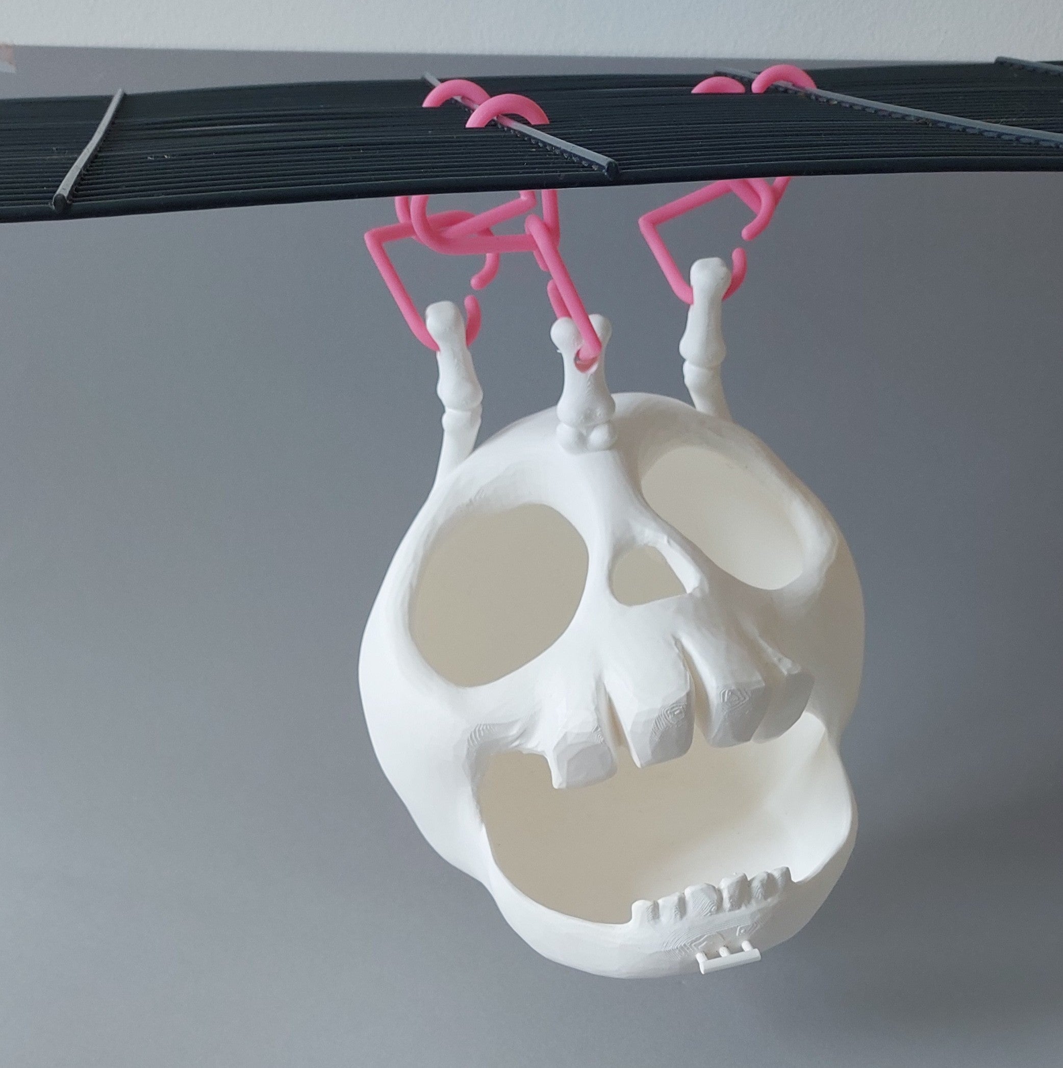 Skull hanging hide