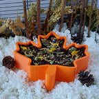 Hamster leaf dig box