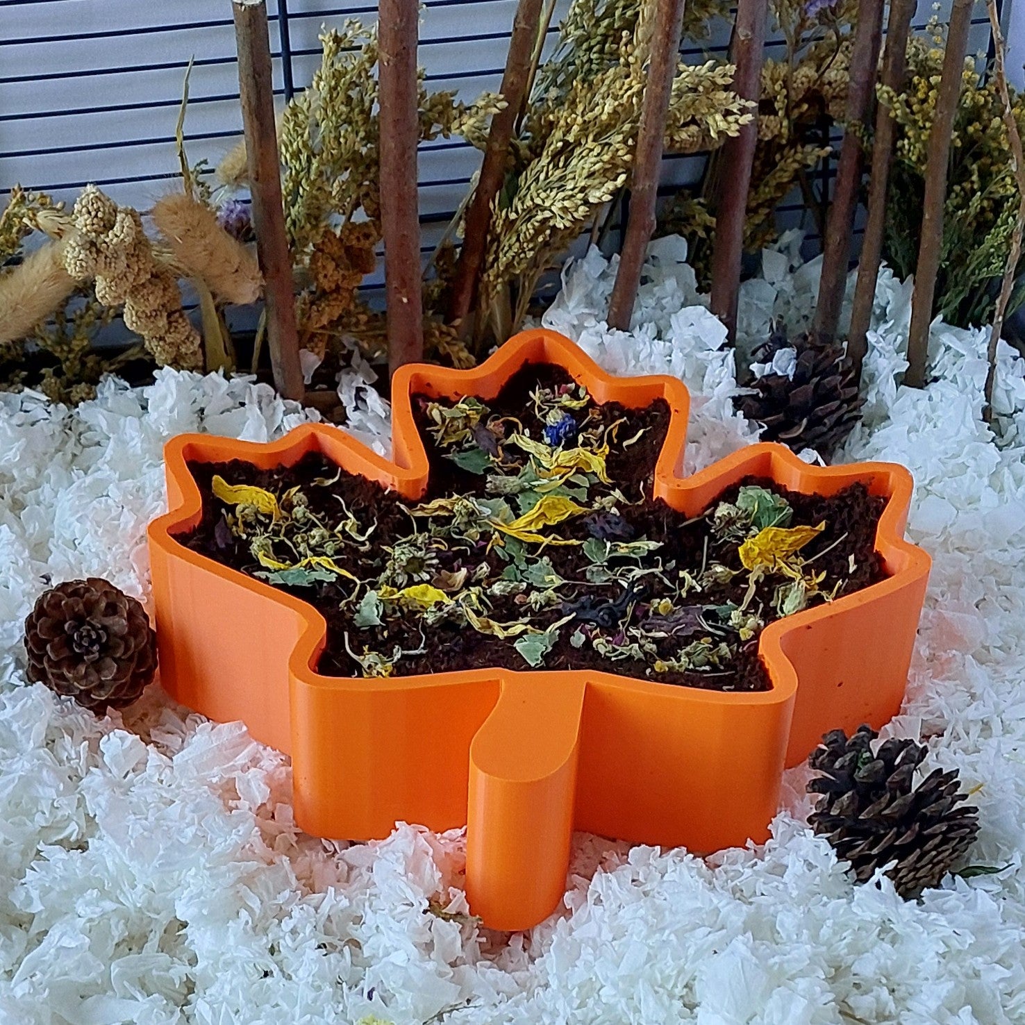 Hamster leaf dig box