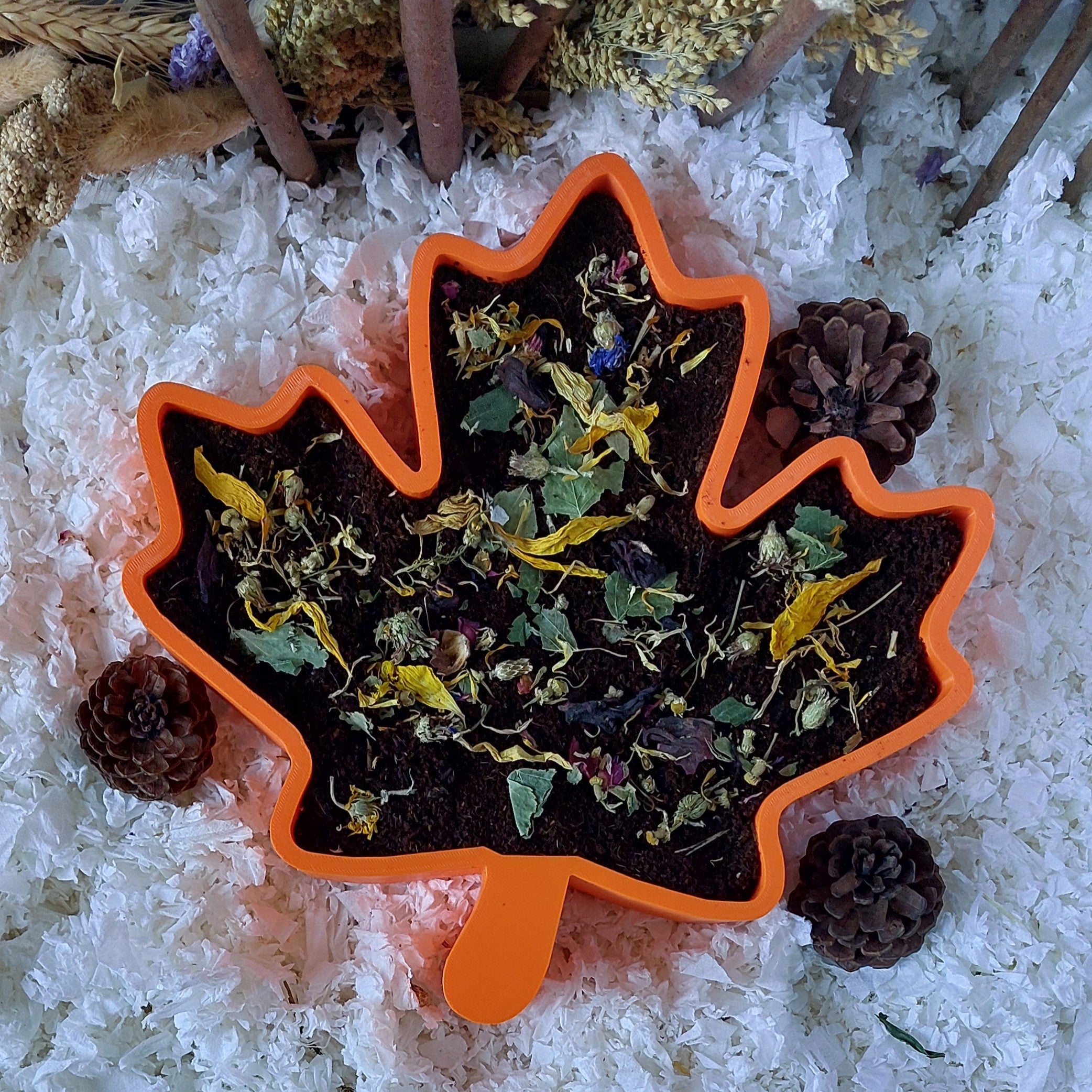 Hamster leaf dig box