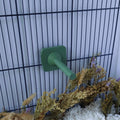 Rat mounted perch