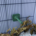 Rat mounted perch