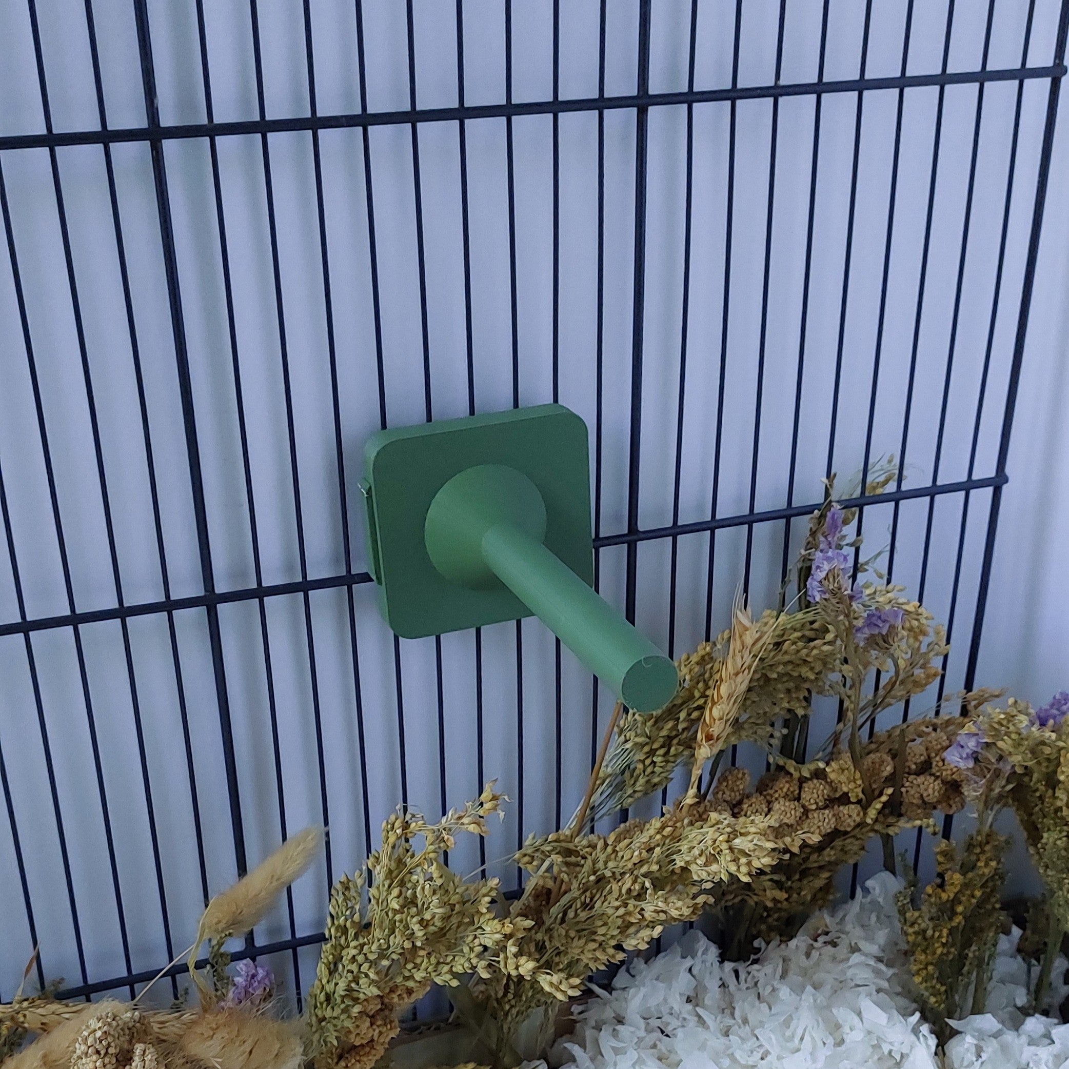 Rat mounted perch