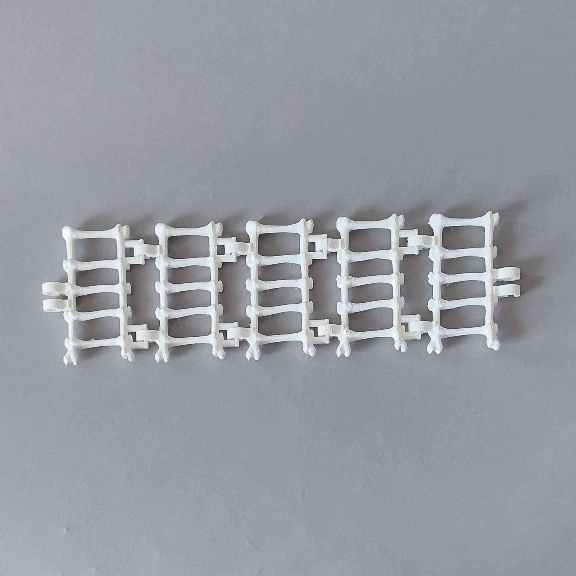 Bones hanging bridge