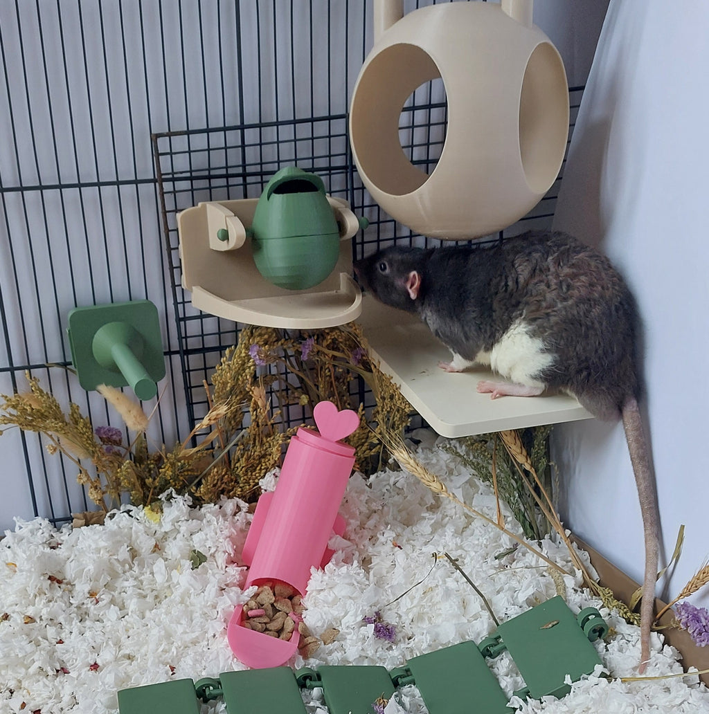 Rat starter bundle