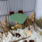 Leaf mounted platform