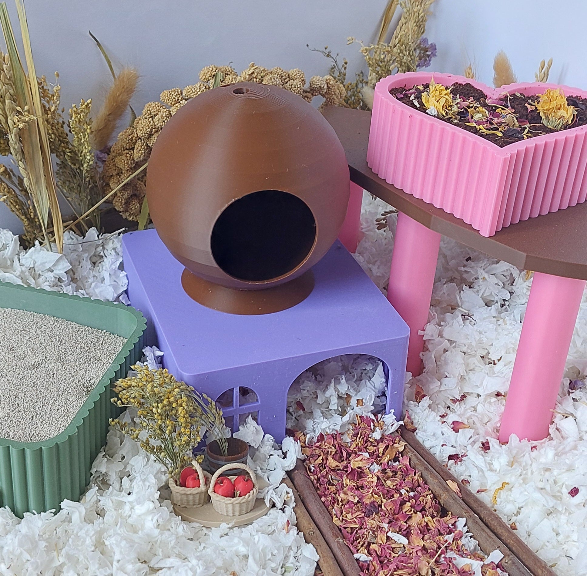 Hamster starter bundle