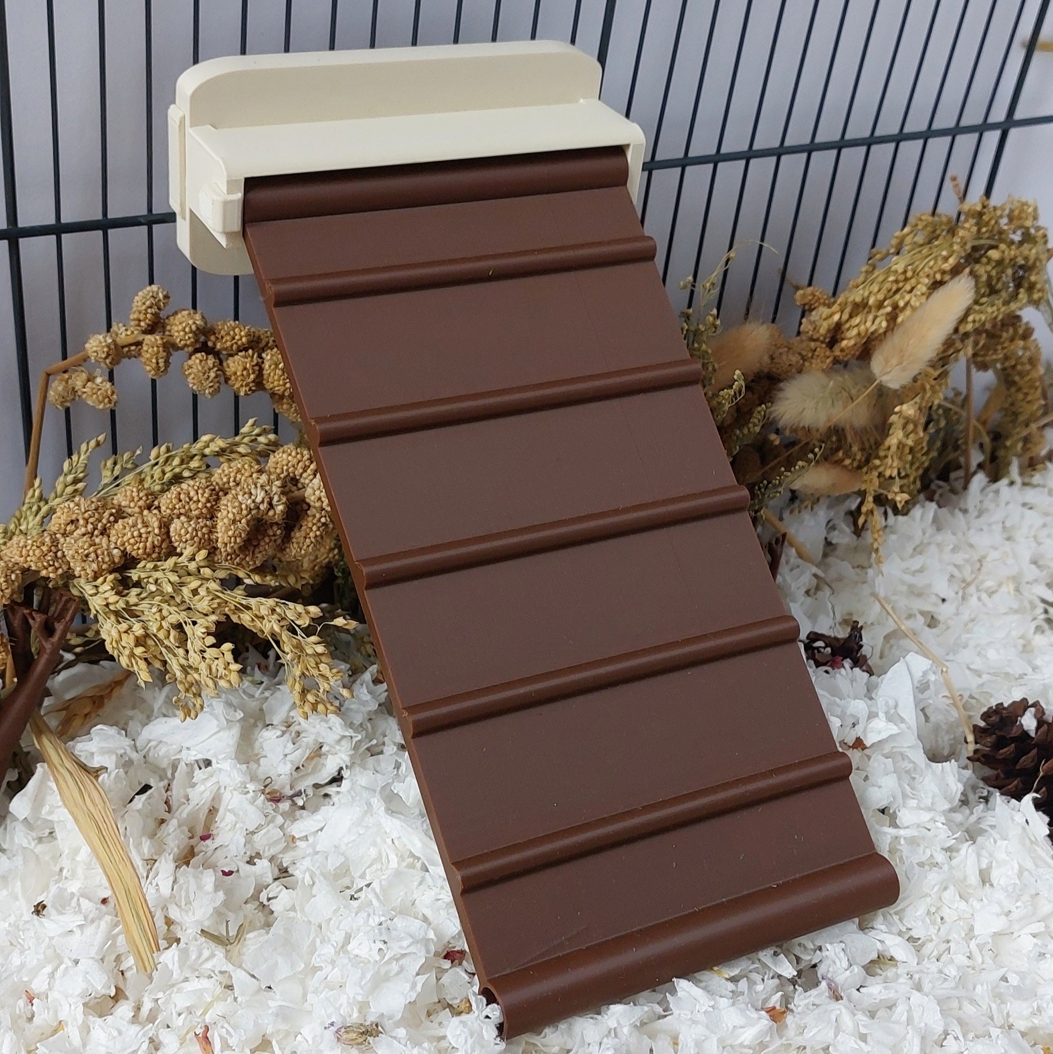 Rat ramp