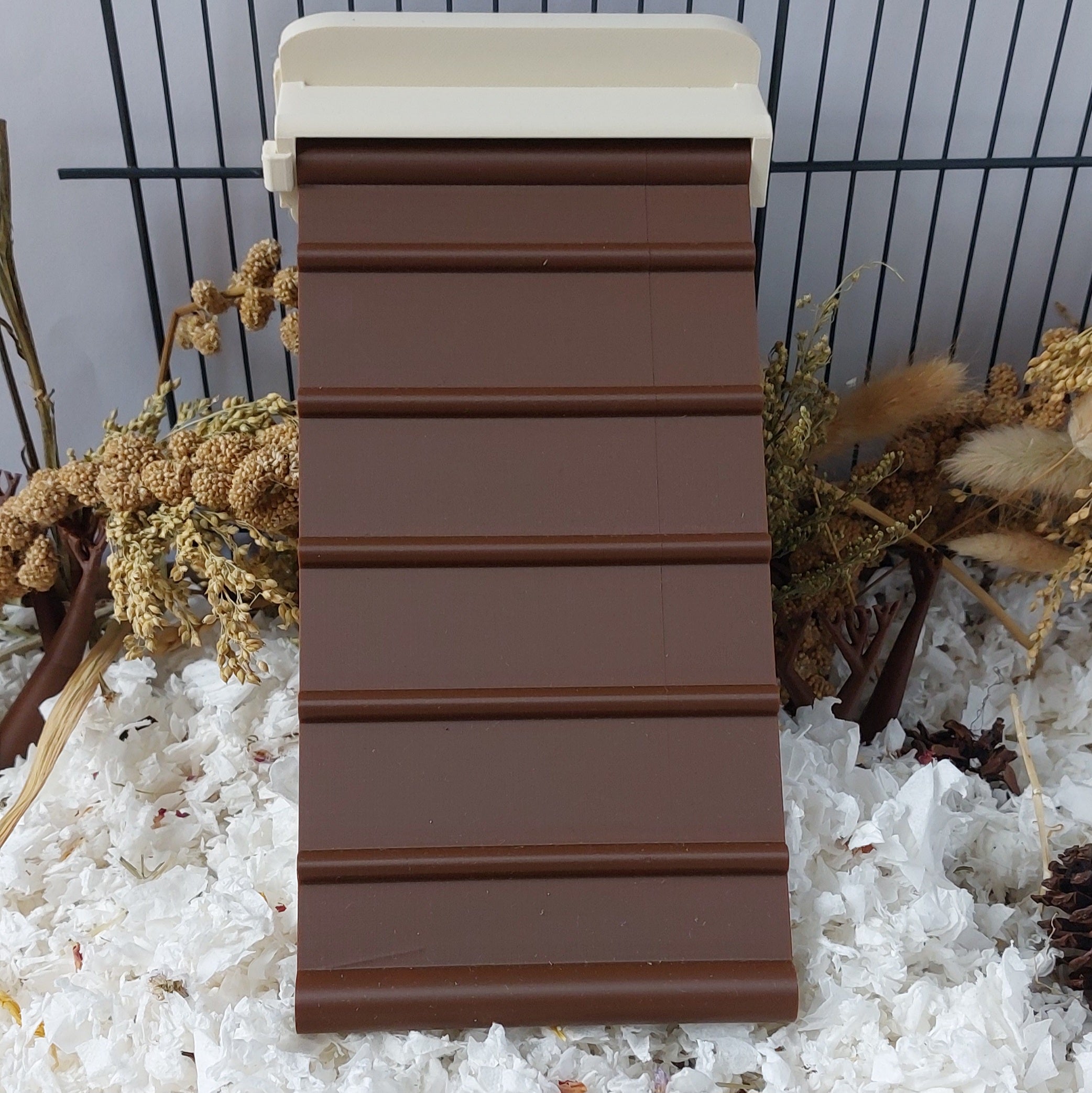 Rat ramp