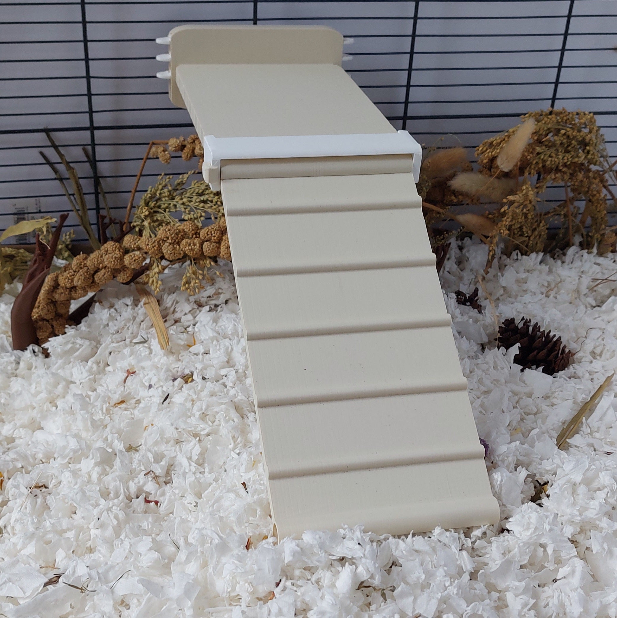 Rat ramp
